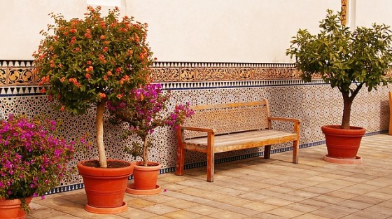oriental-852868_640