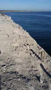 4-Photo-4-169x300