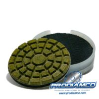 SPT2
