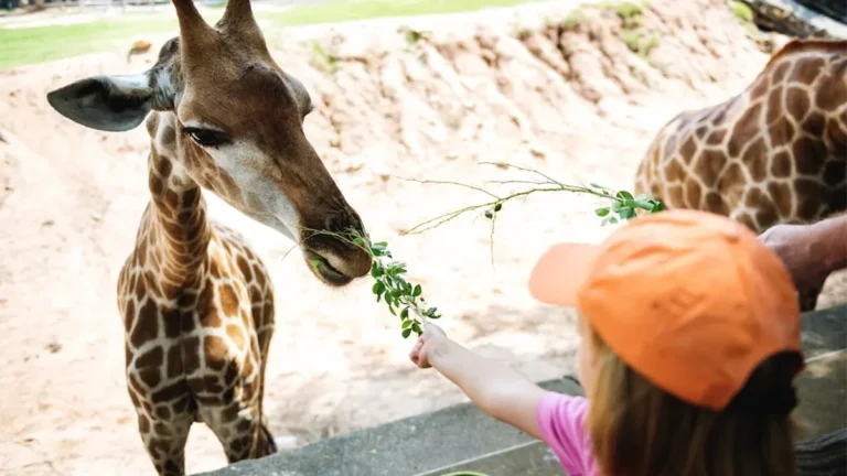 Remodelación del Zoológico de Filadelfia